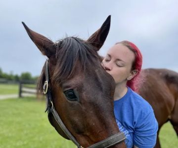 Kentucky Equine Hospital