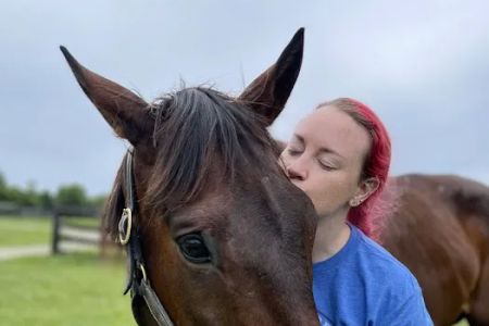 Kentucky Equine Hospital