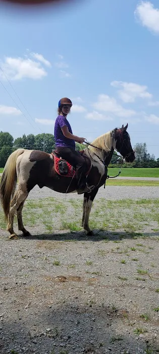 Equine Services, PSC 12