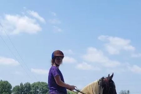 Equine Services, PSC