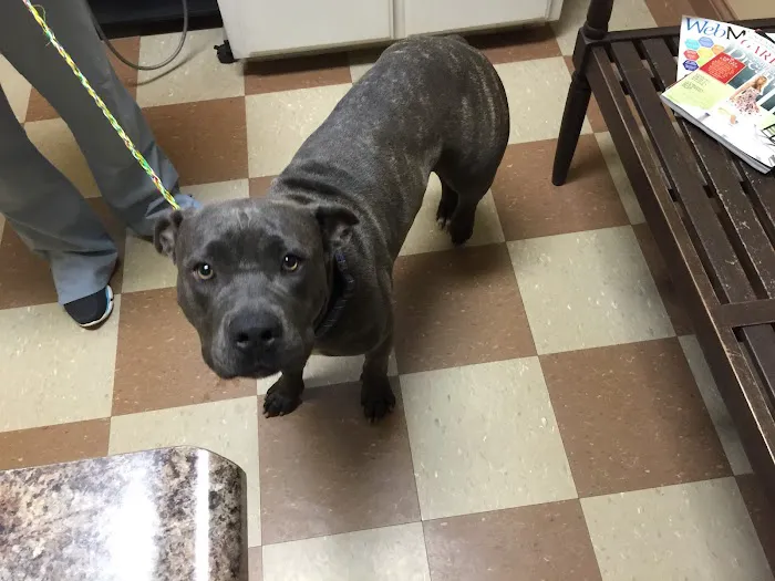 Elk Creek Animal Hospital 12