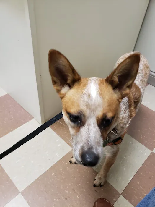 Elk Creek Animal Hospital 12