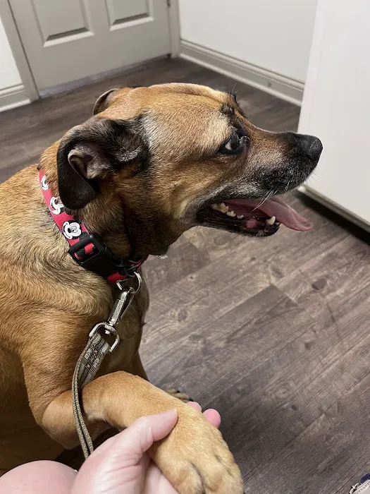 Elk Creek Animal Hospital 12