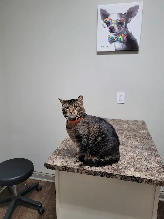 Elk Creek Animal Hospital 12