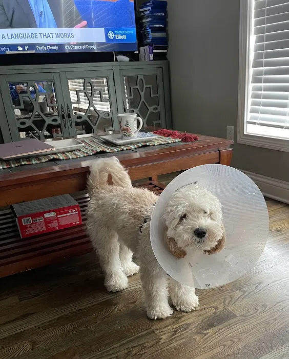 Commonwealth Veterinary Clinic 12