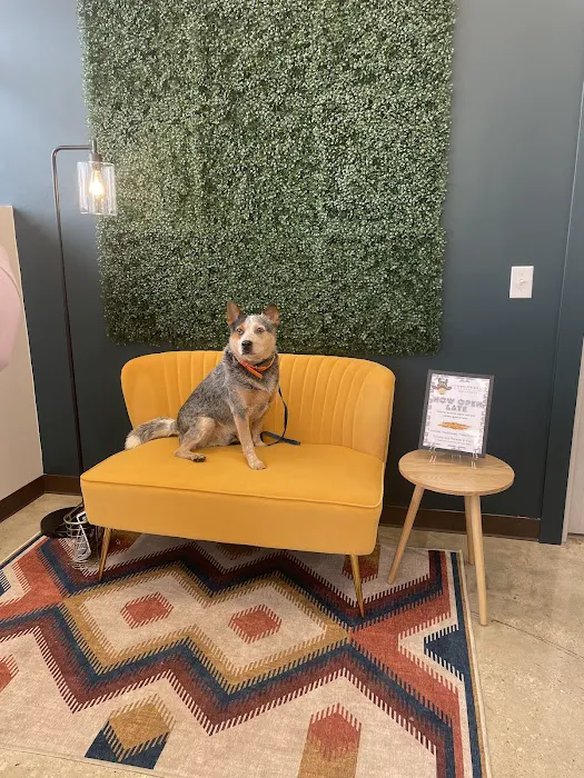 Commonwealth Veterinary Clinic 12
