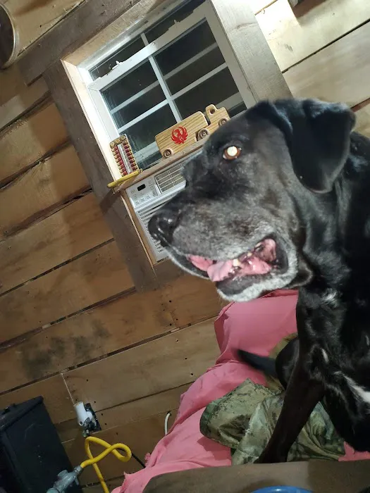 All 4 Paws Inc 12