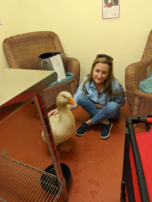 Best Pets Animal Clinic 12
