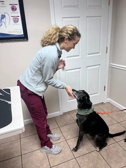 Scott County Veterinary Clinic 12