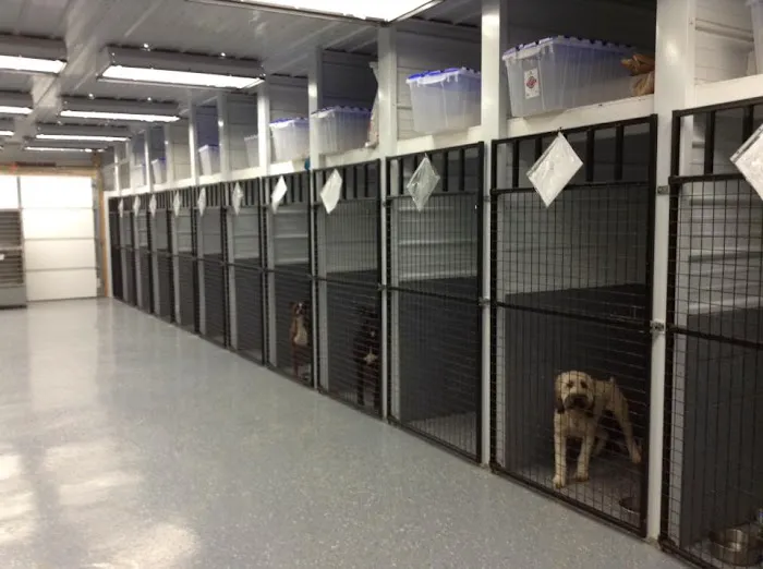 Scott County Veterinary Clinic 12