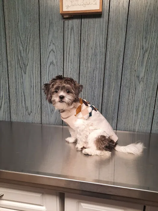 Pet Wellness Veterinary Center 12