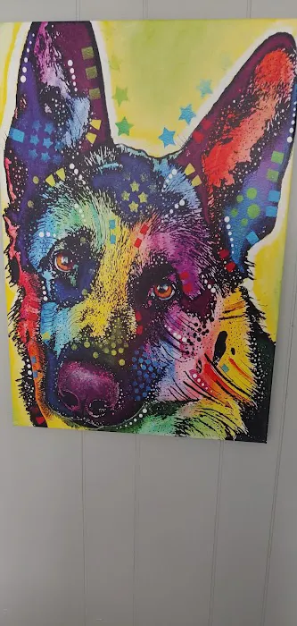 Pet Wellness Veterinary Center 12