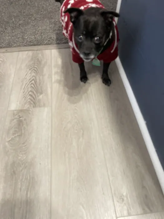 Ark Veterinary Clinic 12