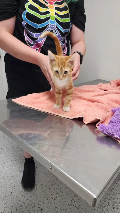Harrison Veterinary Clinic 12
