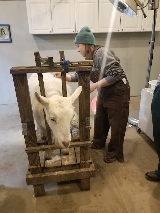 Harrison Veterinary Clinic 12