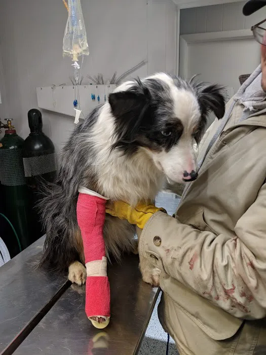 Harrison Veterinary Clinic 12