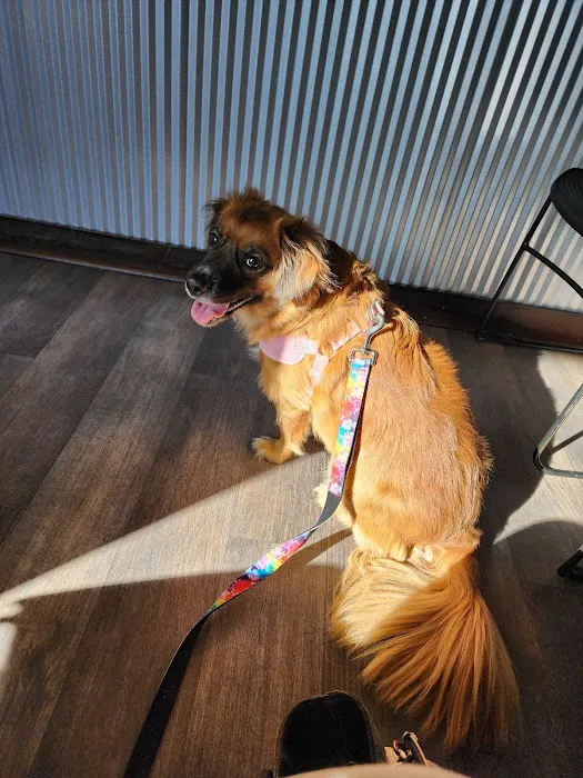 Noble View Veterinary Clinic 12