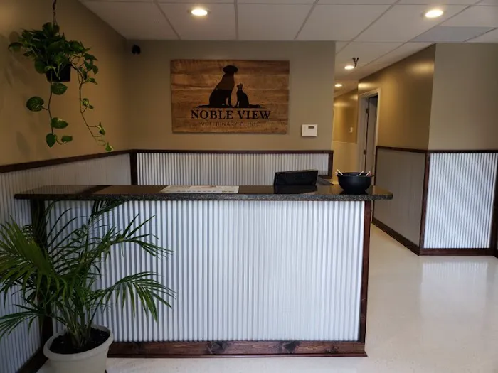 Noble View Veterinary Clinic 12