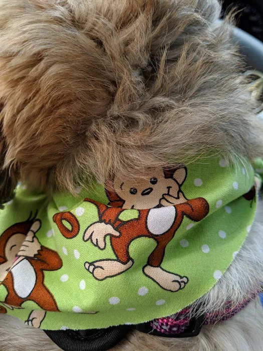 Seneca Animal Hospital 12