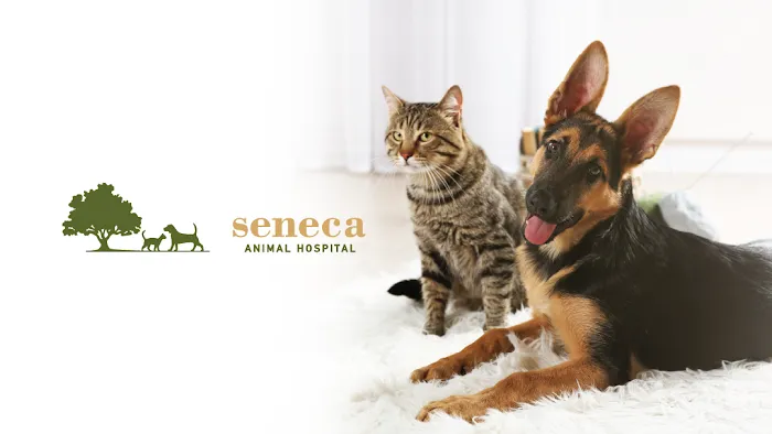 Seneca Animal Hospital 12