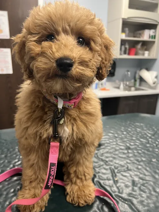 Johnson Animal Clinic 12