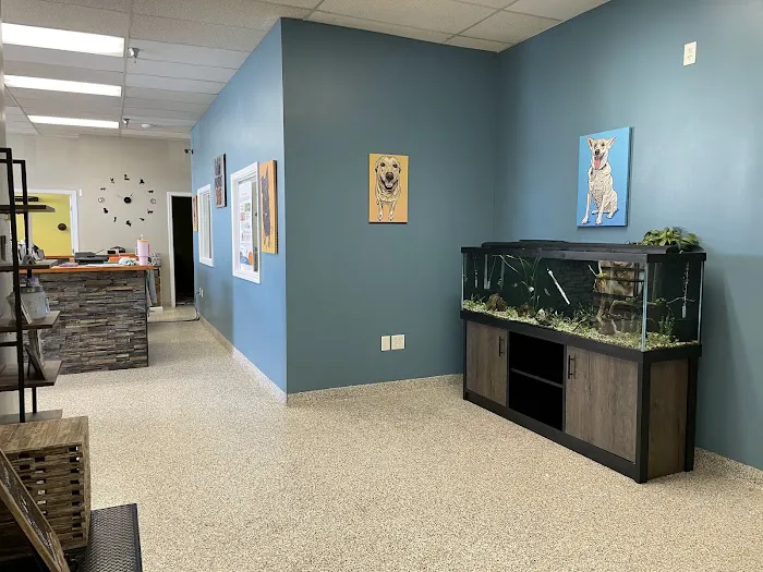 PetVet365 Pet Hospital Louisville / Jeffersontown 12