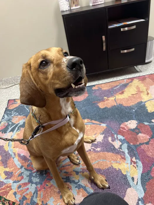 PetVet365 Pet Hospital Louisville / Jeffersontown 12