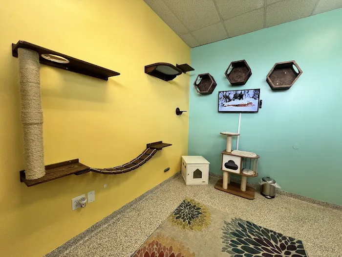PetVet365 Pet Hospital Louisville / Jeffersontown 12