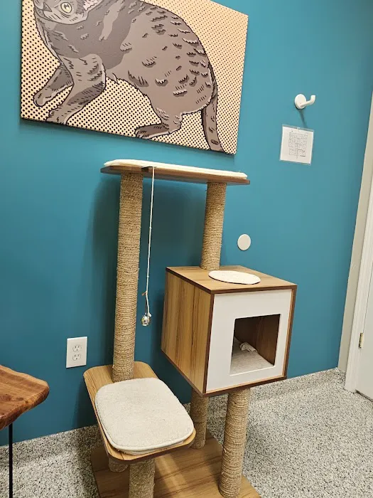 PetVet365 Pet Hospital Louisville / Jeffersontown 12