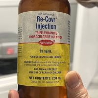 Tran Gary M DVM ico