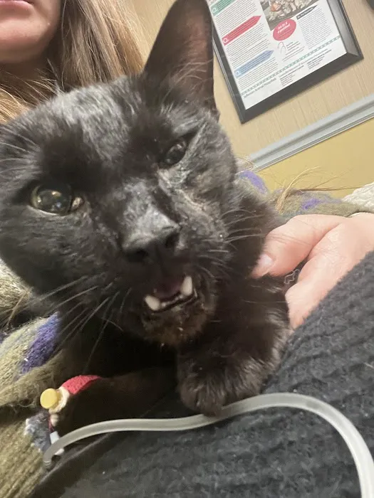 Animal Emergency Center 12