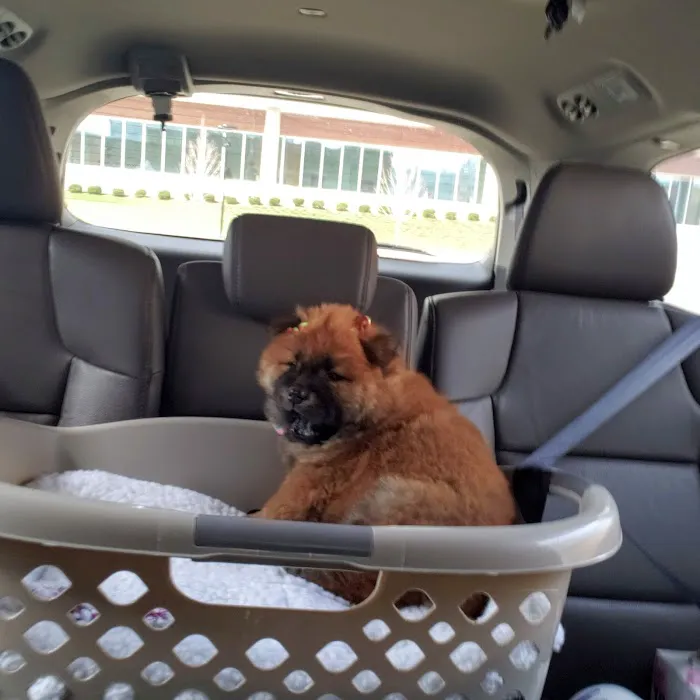 Tail-End Vetcare 6