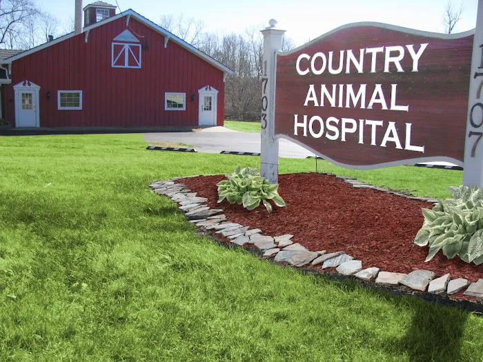 Country Animal Hospital 12
