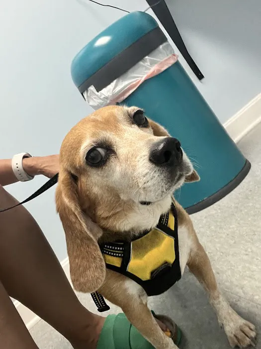 Country Animal Hospital 12