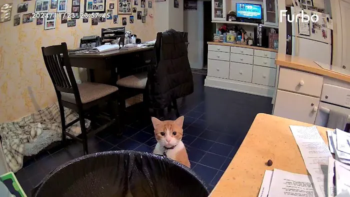 Country Animal Hospital 12