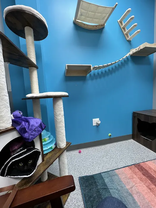 PetVet365 Pet Hospital Louisville/Blankenbaker 7