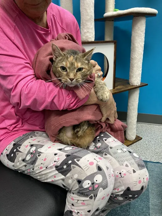 PetVet365 Pet Hospital Louisville/Blankenbaker 4