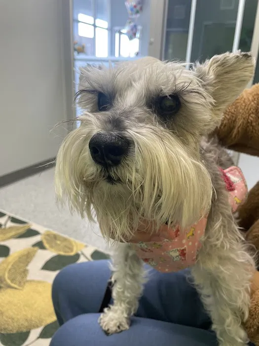 PetVet365 Pet Hospital Louisville/Blankenbaker 6