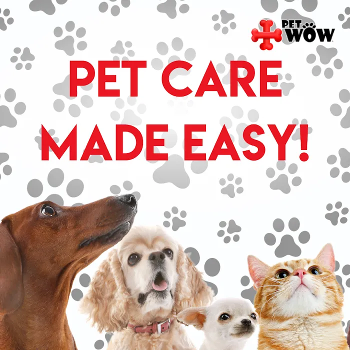 PetWow Home Veterinary Care 12