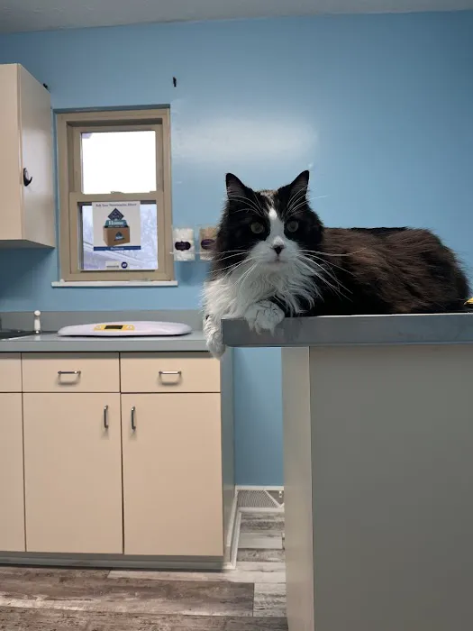 Nurture Animal Clinic 12