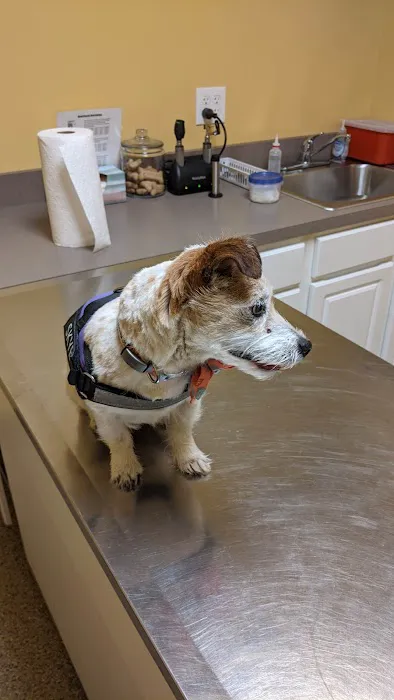 Rolling Hills Veterinary Service 10