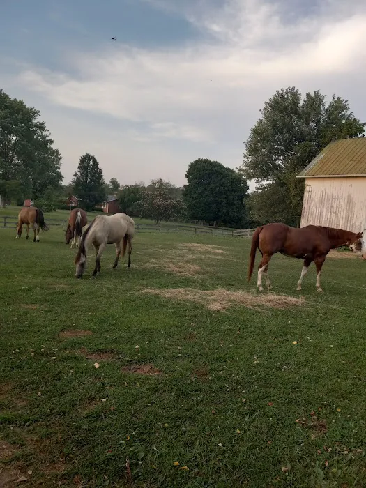 Rolling Hills Veterinary Service 7