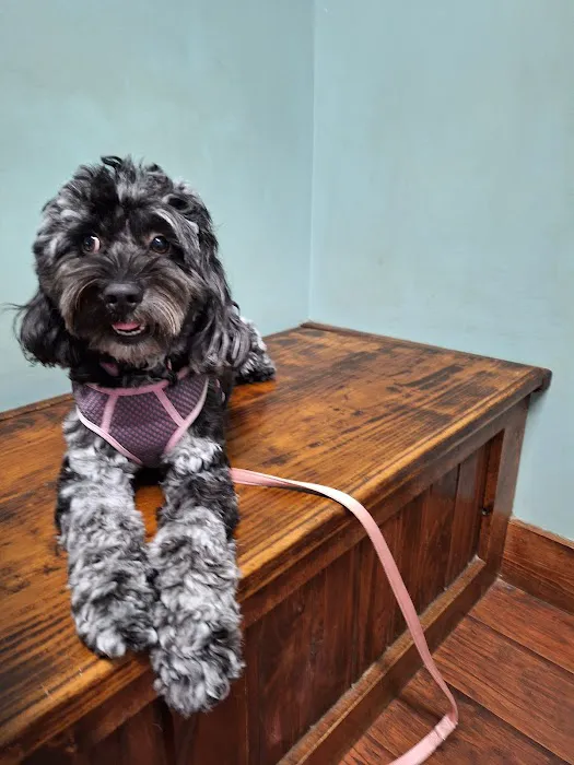 Bethel Community Pet Hospital 12