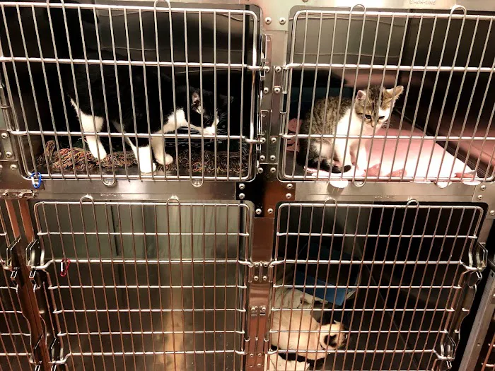Bethel Community Pet Hospital 12
