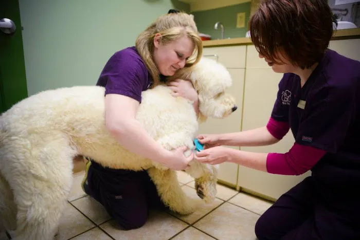 Lifetime Pet Center - New Richmond 12