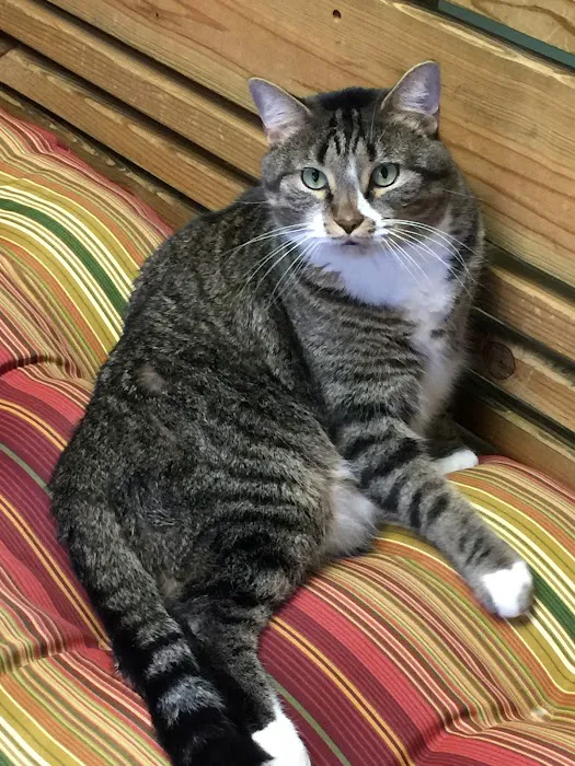 Lifetime Pet Center - New Richmond 12