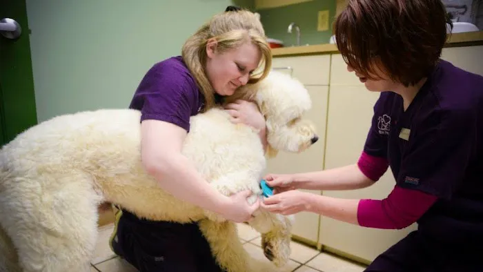 Lifetime Pet Center - New Richmond 12