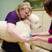 Lifetime Pet Center - New Richmond ico
