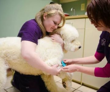 Lifetime Pet Center - New Richmond