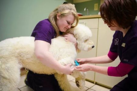Lifetime Pet Center - New Richmond